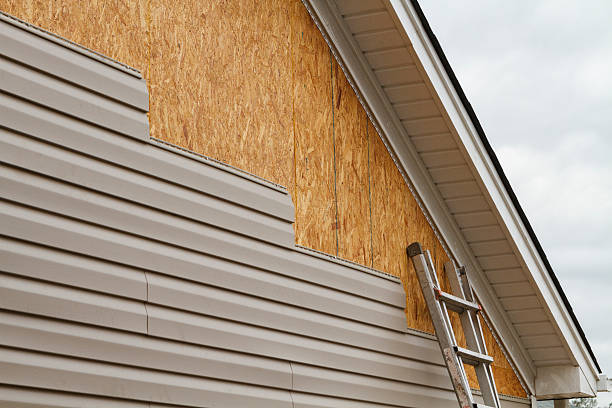 Professional Siding Inspection technician working in Allison Park, PA